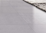 Keramische tegel van het de Glanstapijt van Inkjet de Droge, Tegels 600*600mm Grootte Licht Grey Color van de Slaapkamervloer