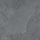 Antislip Zwart Zuurvast Matte Bathroom Ceramic Tiles 600*600mm