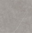 Binnenlands en Buitenhuisontwerp Grey Ceramic Tiles/Duurzaam Matte Finshed Porcelain Floor Tiles 600*600