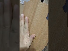 Introductie van 200x1200mm keramische tegels in houtlook