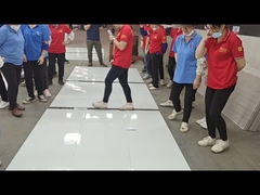 Video over fabrieksinspectie