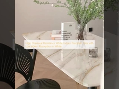 Hoge chemische bestendigheid witte binnenporseleinen tegels met lage wateropname in wit