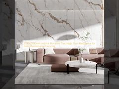 1200x2700mm Indoor Porseleinen Tegels Hoge Vlekbestendigheid voor Gemakkelijk Onderhoud Vloeren