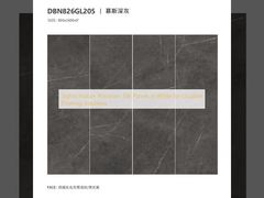 Stijlvolle Indoor Porseleinen Tegelpanelen in Wit voor Duurzame Vloeroplossingen