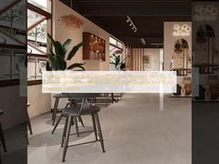 Antislipweerstand R9 tot R11 classificatie Moderne porseleinen tegels Gemakkelijk te reinigen en te onderhouden Moderne eenvoudige stijl Duurzame en stijlvolle vloeroplossing