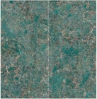 Groene de Vloertegels 6mm van het Kleuren Marmeren Plak Opgepoetste Graniet Dikte