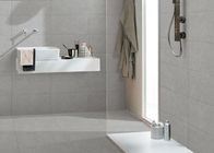 Tegel van het toilet de Moderne Porselein, R11 Modern Grey Bathroom Tiles 600x300mm
