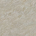 De antibacteriële Ceramische Tegel van de Keukenvloer, Steen kijkt Porseleintegel