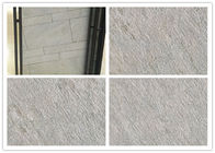 Tegels van het het Zandsteenporselein van ECO de Vriendschappelijke, Opgepoetste Porseleintegels 600x600