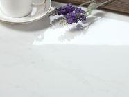 Van de het Porseleintegel van Carrara Wit Modern Binnen en Openlucht de Vloer en de Muurgebruik