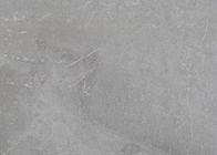 Homogeneo Opgepoetste Porseleintegel, van het de Grootteporselein van 12 &quot; X24“ de Badkamerstegel