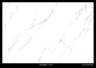 Verglaasde Witte Marmeren het Porseleintegel van Calacatta Carrara, Binnenlandse Vloertegels 810*1410mm