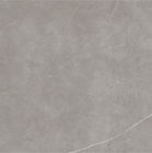 Binnenlands Ontwerp 60x60cm van de Keramische tegelvloer Grey Color Thin For Bedroom en Woonkamer