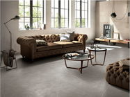 Binnenlands Ontwerp 60x60cm van de Keramische tegelvloer Grey Color Thin For Bedroom en Woonkamer