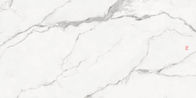 Muur en Vloer Witte 900x1800mm Verglaasde Plaktegels