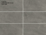 Het zuurvaste Binnenporselein betegelt Donker Grey Color 750*1500mm Grootte voor Badkamers