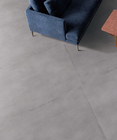 Lichte het Effect van Grey Indoor Porcelain Tiles With Marmeren Keramische tegel 900*1800mm van Microcement Zeustile