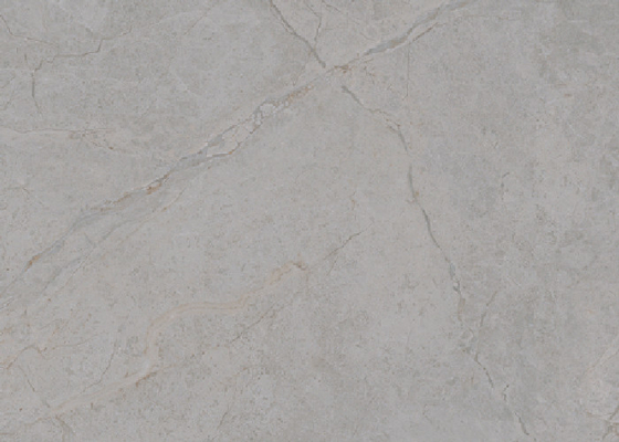 Elegant 6 Patroon Marmeren Look Keramische vloertegel Met Water Absorptie 0,5%