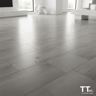 Makkelijk te reinigen porseleinen tegel met cementlook, die onderhoudsgemak combineert met modern design, ondersteund door het betalingsteam T T etc.