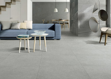 Tegel van het toilet de Moderne Porselein, R11 Modern Grey Bathroom Tiles 600x300mm