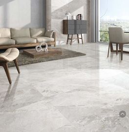 Van de de Badkamers24x48 Grootte van de brecciësteen het Marmer van de het Porseleintegel kijkt Matt Finish Light Grey Color