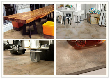 Het zuurvaste Porseleincement kijkt Tegel Matte Surface Treatments