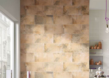 Openlucht Decoratieve de Tegelsvloer Particels Matt Surface van de Cementvloer