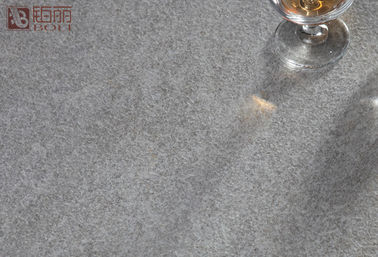 Licht Grey Matt Bathroom Ceramic Tile 20mm Dikte600x600 Mm Grootte