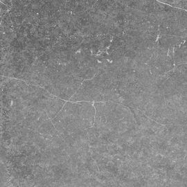 Grey Exquisite Modern Porcelain Tile 15 Veelvoudige Patronen voor Eetkamer