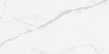 De exotische van de de Tegelslaapkamer van het Versierings24x48 Porselein het Porseleintegels van Groggery glijden niet Super Witte Kleur 600x1200mm Grootte uit