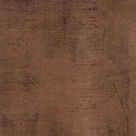 Het roestmetaal kijkt van het de Tegel Decoratieve Metaal van het Tegelaccent van de de Tegel600x600 mm Grootte van het de Woonkamerporselein de Vloertegel