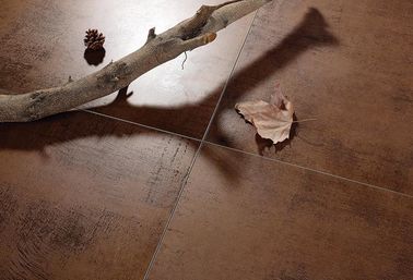 Moderne het Porseleintegel van de schoolbadkamers, Matte Rust Color Ceramic Wall-Tegel