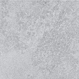 Het binnencement kijkt Vloertegel 600*600MM Grey Color Acid Resistant