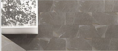 Matt Glazed Porcelain Floor Tile/600 X 600mm Zwart de Tegels Laag Water Absoption van het Muurpatroon