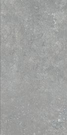 24 Lichte Grey Color Rustic Porcelain Tile Waterdichte het Cementkleur van 