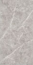 De hoge Keramische tegel Grey Color Thickness 10mm van Barthroom van de Slijtageweerstand Zuurvaste