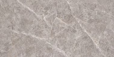 Van de Steentegels van het goede Kwaliteits Super Ceramische Nieuwe Verglaasde Porselein Binnen het Porseleintegels Grey Floor In Bathroom