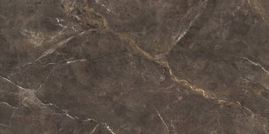 Bruine Ceramische Vloertegel en de Tredetegel 900*1800mm Duurzame Dikte 10mm van het Groot Formaatporselein Mordern-Porseleintegel