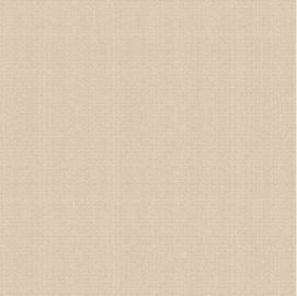 Matt Surface Non Slip Cement kijkt Porseleintegel, Rustiek Matt Porcelain Tiles 600*600mm
