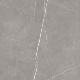 Binnenlands Ontwerp 60x60cm van de Keramische tegelvloer Grey Color Thin For Bedroom en Woonkamer