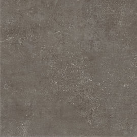 Grey Color Floor Porcelain 24 van de de Tuinsteen van 