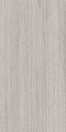 1200x2400 van de het Porseleinvloer van Matt Glazed Large Format Grey de Externe Tegel van het de Tegels Moderne Porselein