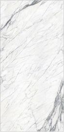 Groot de Grootteporselein 1200x2400mm van Carrara Muur & Vloer de Tegel van de het Porseleinvloer van de Tegelswoonkamer