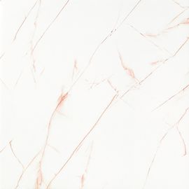 Vierkante Witte van het de Woonkamerporselein van Calacatta Gouden de Vloertegel