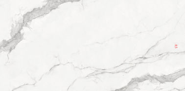 Muur en Vloer Witte 900x1800mm Verglaasde Plaktegels