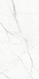 De Vloer van de Modernporcelaintegel betegelt het Nieuwe Marmer van Ontwerpfoshan China kijkt Tegelsgrootte 1200*2400mm