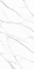 Het goede Wit van Woonkamercarrara poetste Marmeren Hoogte op - de kwaliteit polijst Ceramische Marmeren Tegels 160*320cm van Vloertegels