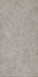 Van het de Woonkamerporselein van Grey Full Matt Surface 1200x2400 de Vloertegel