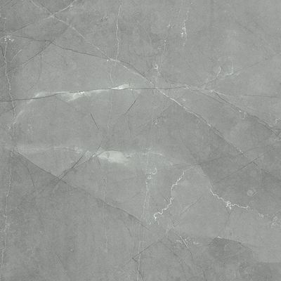 Antibacteriële 900x900mm Binnenporseleintegels voor Eetkamer