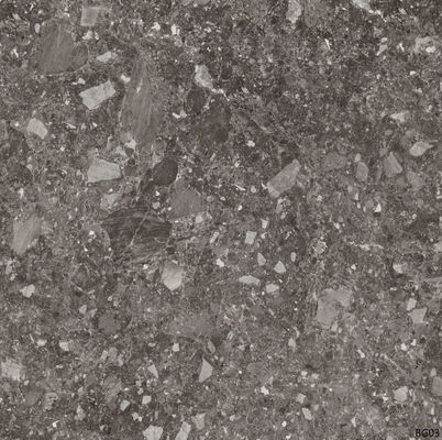 Verglaasde de Vloertegel 60x60cm van het Terrazzo Rustieke Porselein voor Badkamers